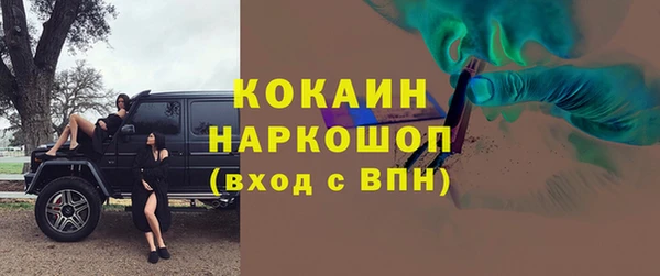 apvp Алексин
