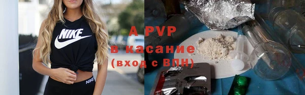 apvp Алексин