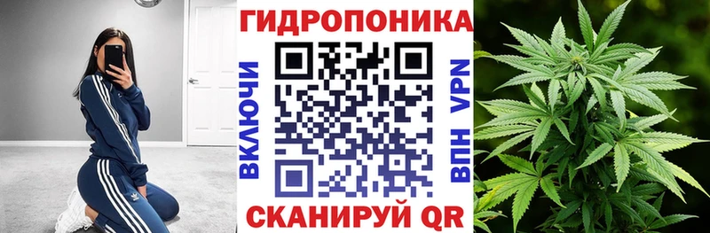Марихуана сатива  Вологда 